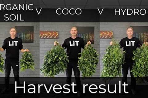 Soil vs Coco vs Hydro Yield result
