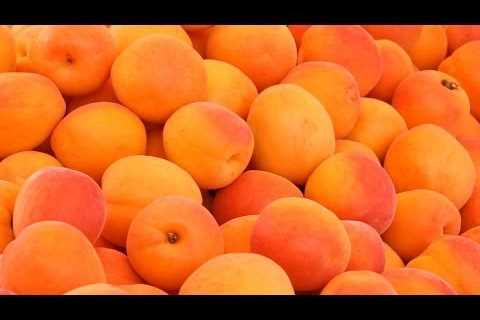 Health Benefits of Apricots â Vitamins and Minerals in Apricots