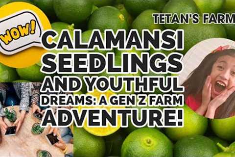 Calamansi Seedlings and Youthful Dreams: A Gen Z Farm Adventure | Philippines