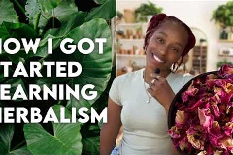 How To Get Started Learning Herbalism
