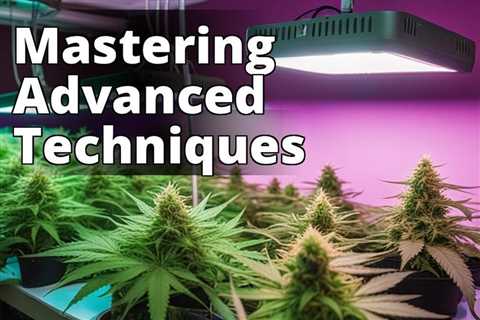 The Ultimate Guide to Growing Marijuana with Advanced Techniques