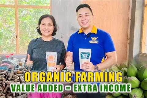 ORGANIC FARMING | ADDING VALUE SA MGA ORGANIC PRODUCTS, PWEDENG MAGING DAAN PARA SA EXTRA INCOME!