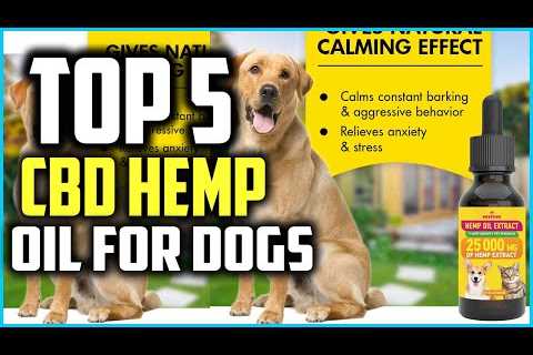 Top 5 Best CBD Hemp Oil for Dogs Review in 2020