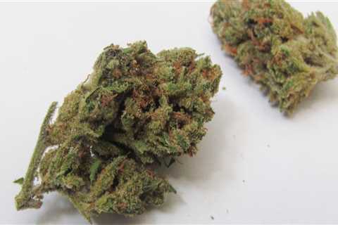 What is super silver haze strain good for?