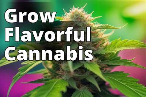 Indulge in Flavor: A Step-by-Step Guide to Growing Marijuana for Taste