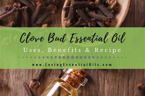 Clove Essential Oil Uses, Benefits and Recipes Spotlight