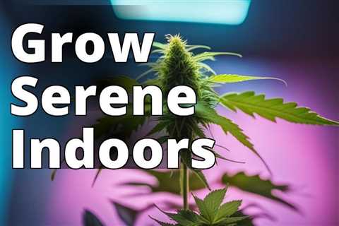 From Seed to Serenity: Growing Marijuana Indoors for Ultimate Tranquility