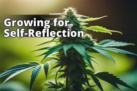 The Top 10 Benefits of Growing Marijuana for Self-Reflection