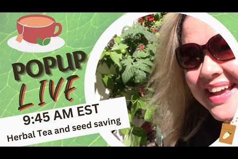 Popup LIVE!!!  Herbal Tea, and seed saving