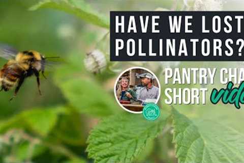 Have We Lost Pollinators? | Pantry Chat Podcast Short