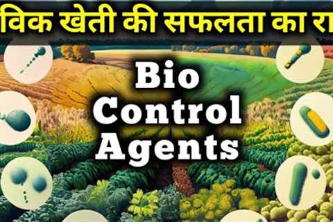 Successful ORGANIC FARMING possible  by BIO CONTROL AGENTS with a secret new method to apply