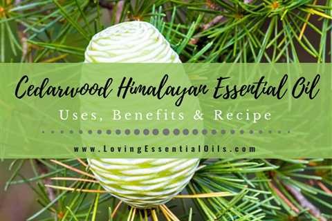 Cedarwood Himalayan Essential Oil Uses, Benefits and Recipes