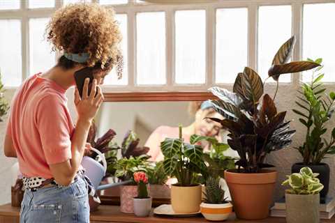 Want Your Houseplant To Grow Vertically? Here’s Exactly How To Train It