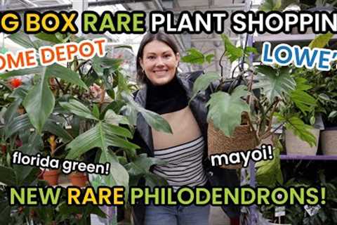 HOME DEPOT HAS MAYOI & FLORIDA GREEN PHILODENDRON! BIG BOX RARE Plant Shopping & Lowe''s..