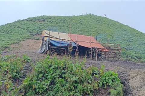 Primitive Rural Village | Chapter 82 | The Mountain People Rainy Day Working | Nepali shepherd Life…