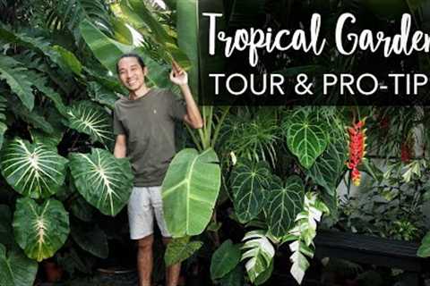 DREAM BIG in a tiny Tropical Garden (280 sqft) + Pro Gardening Tips ft. the legendary Farren Wayne