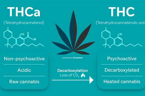 DELTA 9 THC Vs THCA: Which Is Better For You?