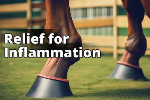 Transform Your Horse’s Health: CBD Oil Benefits for Inflammation