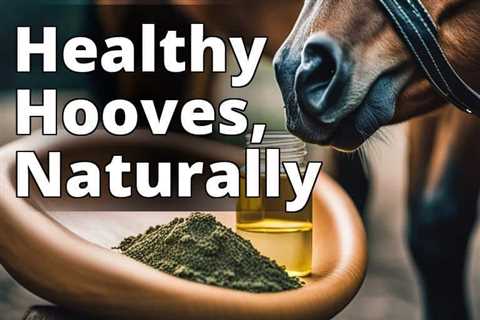 Discover the Remarkable Benefits of CBD Oil for Hoof Health in Horses