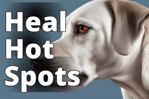 Hot Spot Relief for Dogs: Unleashing CBD Oil’s Benefits