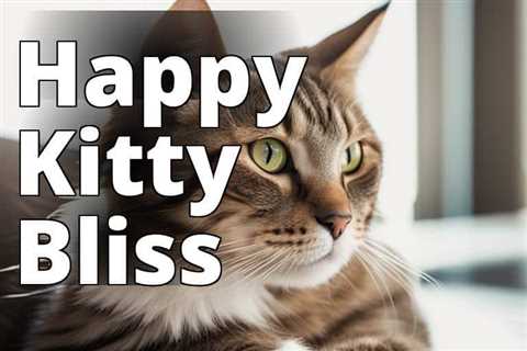 Discover the Surprising Benefits of CBD Oil for Cats’ Urinary Health