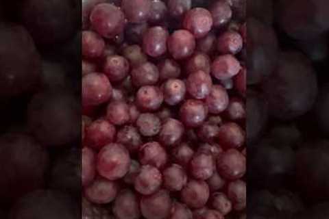 Day 176- Grapes 🍇 #1000dayshealthyfoodchallenge #healthylifestyle #plantbaseddiet #naturalfood