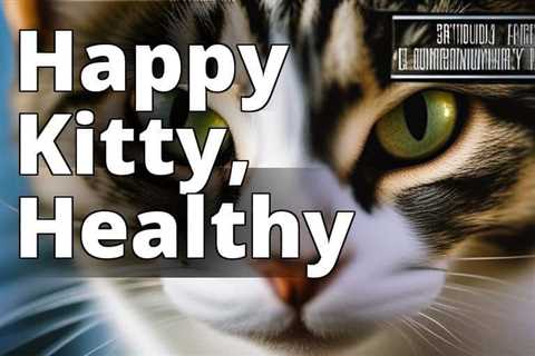 The Ultimate Guide to CBD Oil Benefits for Cats’ Urinary Tract Health