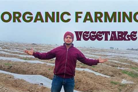 Organic Farming 🧺