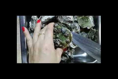 VIRAL MUKBANG TALABA OR OYSTERS ORGANIC HOW TO OPEN AND EAT VACATION IN PHILIPPINES#viral#shots