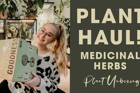 Not Your Typical Plant Unboxing | Medicinal Herbs Haul | Mountain Rose Herbs