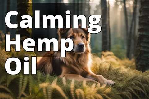 The Ultimate Guide: How Hemp Oil Aids Dogs with Separation Anxiety