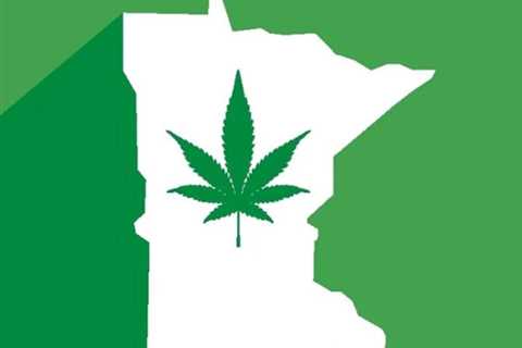 Minnesota Cities Are Adopting Temporary Bans on Cannabis Ahead of Legalization