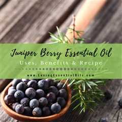 Juniper Berry Essential Oil Recipes, Uses and Benefits
