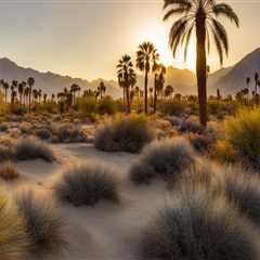 The Truth About the Cost of Participating in Coachella Valley Wellness Recreation