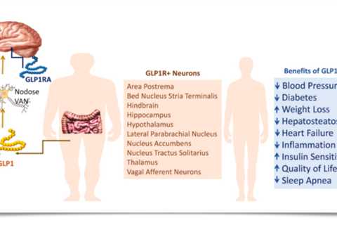 Strategies To Mitigate Muscle Loss While Using Weight Loss Drugs Like Ozempic