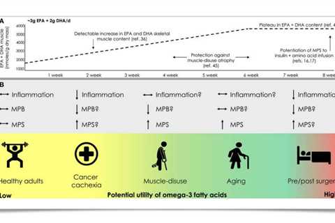 The Influence of Omega-3 Fatty Acids on Skeletal Muscle Protein Turnover