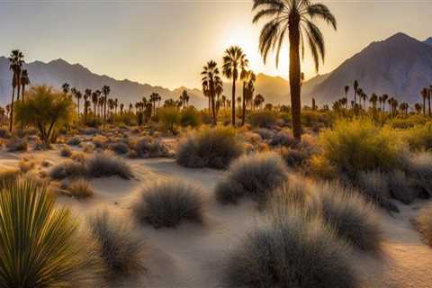 The Truth About the Cost of Participating in Coachella Valley Wellness Recreation