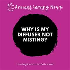 Why Is My Diffuser Not Misting? 7 Tips for Fixing