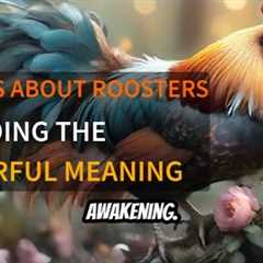 Dreams About Roosters: Meaning and Awakening Symbolism - The Powerful Meaning