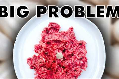 The Growing Problem With Homemade Pet Food