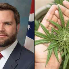 JD Vance Claims There’s ‘Fentanyl In Our Marijuana Bags That Our Teenagers Are Using’