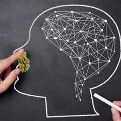 Cannabis Has No Significant Impact on Working Memory or Cognitive Function Finds New Medical Study