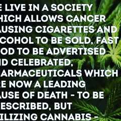 THE PARADOX of alcohol and pharmaceutical drugs being legal while cannabis…