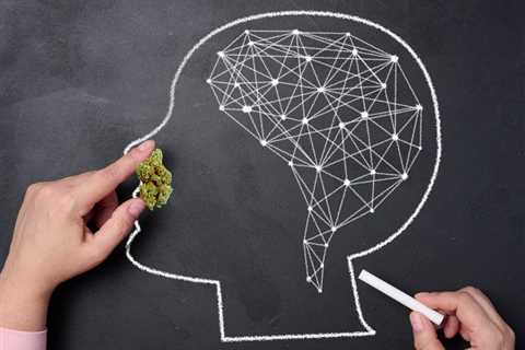 Cannabis Has No Significant Impact on Working Memory or Cognitive Function Finds New Medical Study