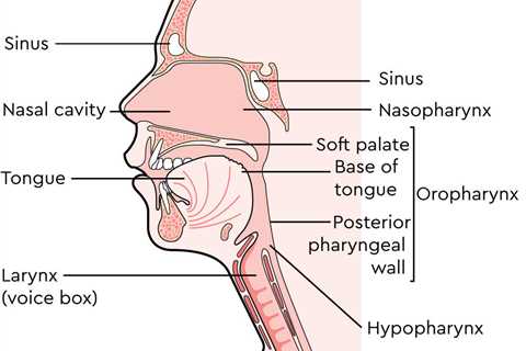 Surging Rates of Deadly Cancers Linked to Oral Sex Spark Urgent Warning - Know the 7 Signs