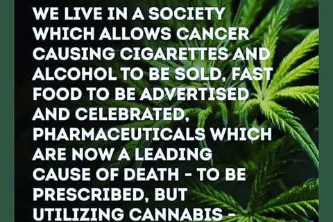 THE PARADOX of alcohol and pharmaceutical drugs being legal while cannabis…