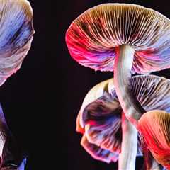 Exploring the Benefits of Psilocybin: A Comprehensive Review