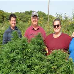 Hemp In Omaha: What You Need To Know Before You Buy