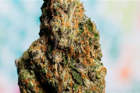 How Can A Dispensary In Ferndale Help You Choose Between Silver Haze Indica Or Sativa?