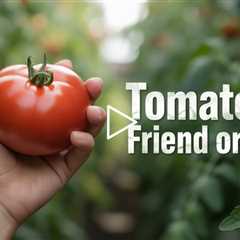 Can Tomatoes Really Cause Skin Problems?